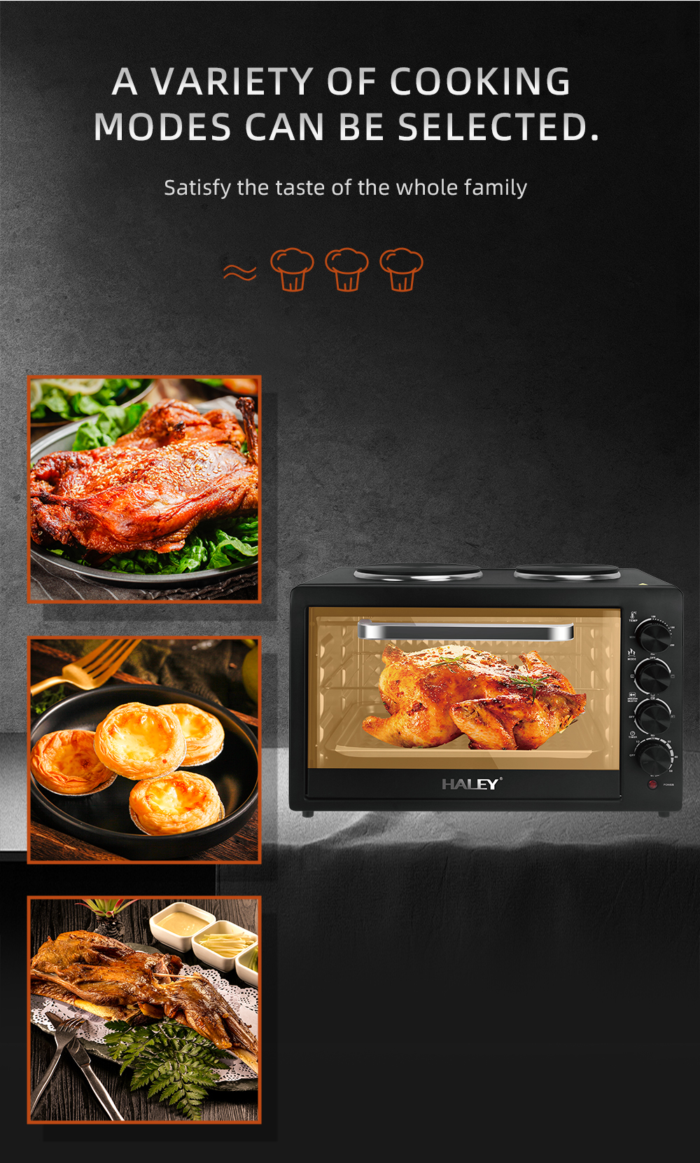 HALEY 48L Electric Oven with Dual Burners