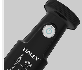 HALEY 1200W Hand Blender