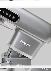 HALEY 12L Commercial Stand Mixer
