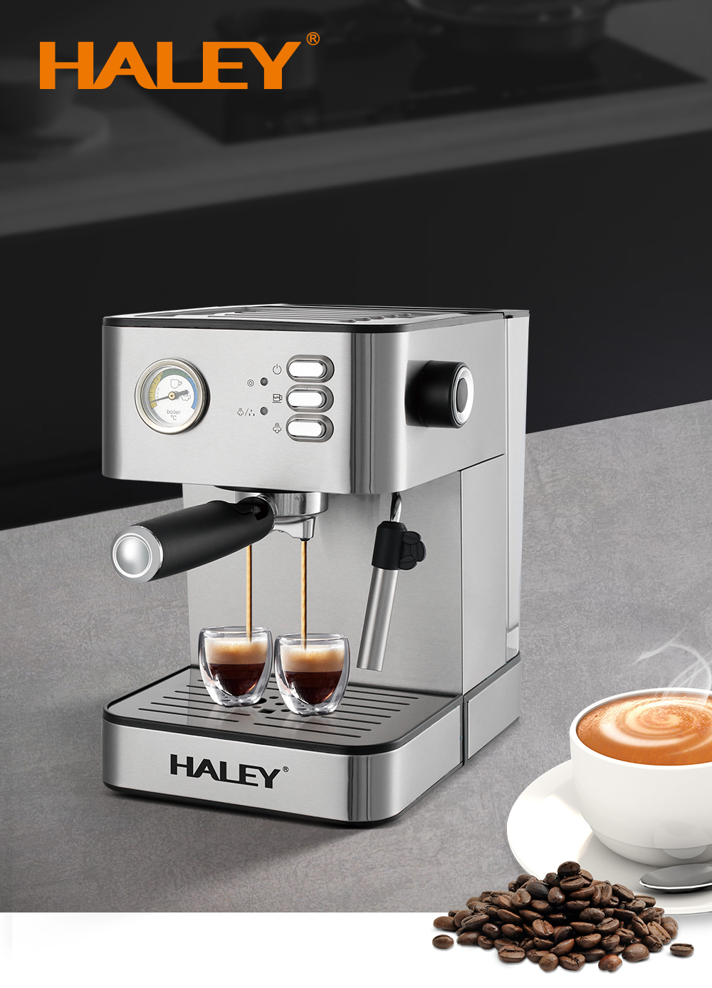 HALEY 20Bar Espresso Coffee Machine