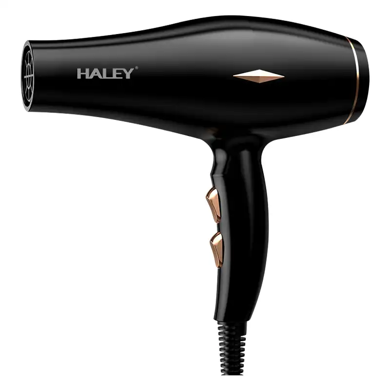 HALEY 2200W Professional Hair Dryer