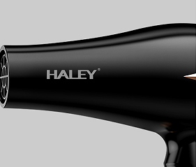 HALEY 2200W Professional Hair Dryer