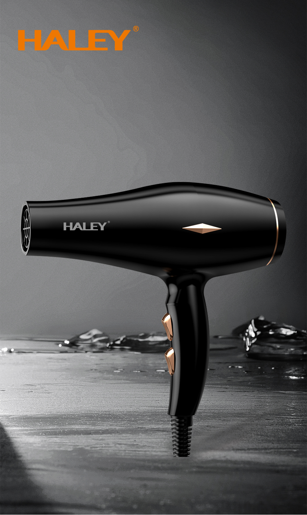 HALEY 2200W Professional Hair Dryer