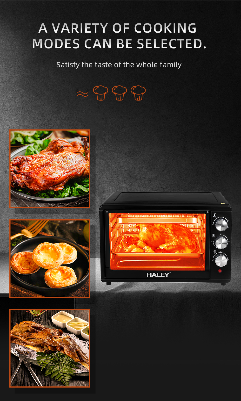 HALEY 48L Electric Oven with Adjustable Temperature Control