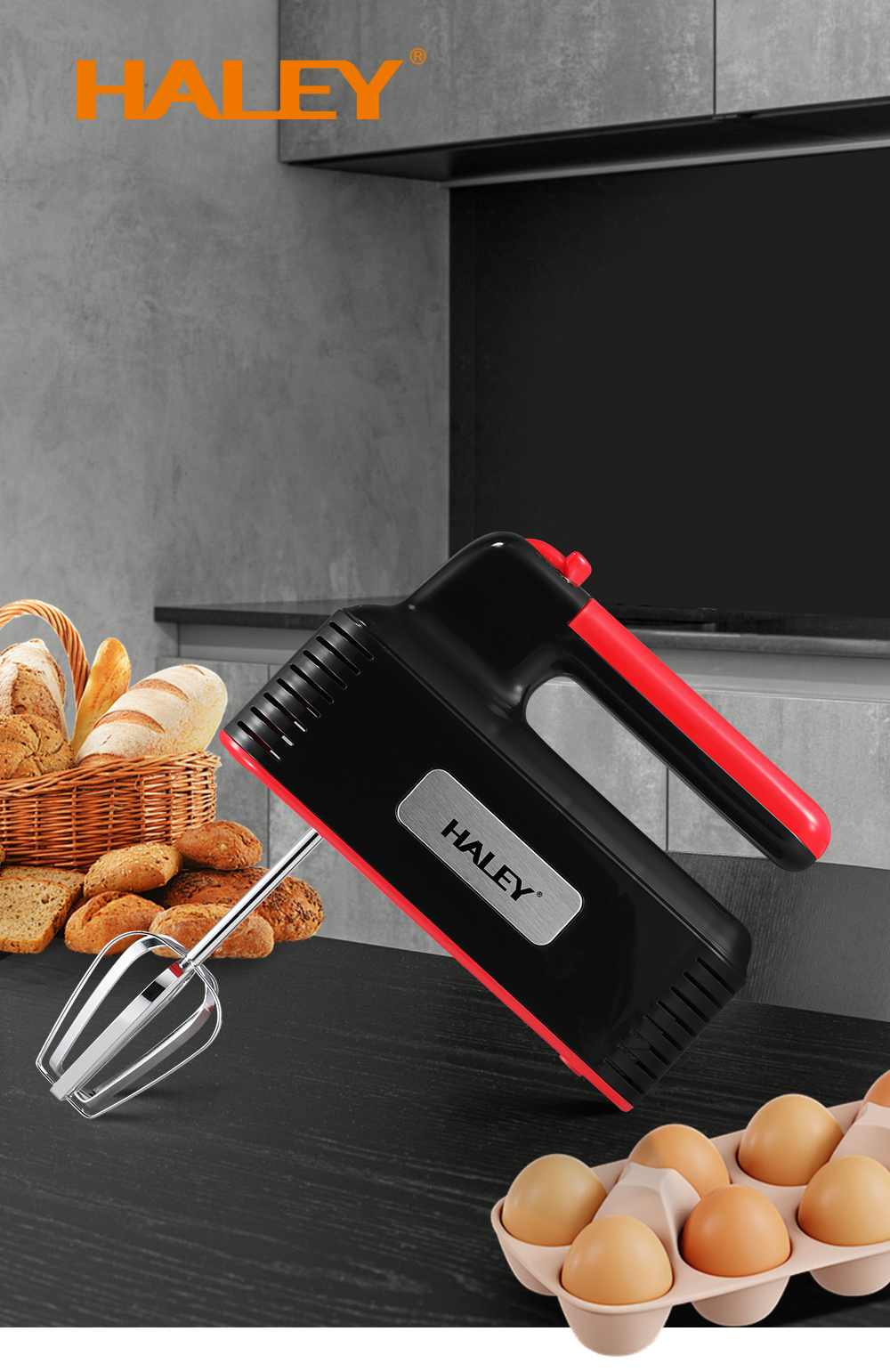 HALEY 500W Hand Mixer