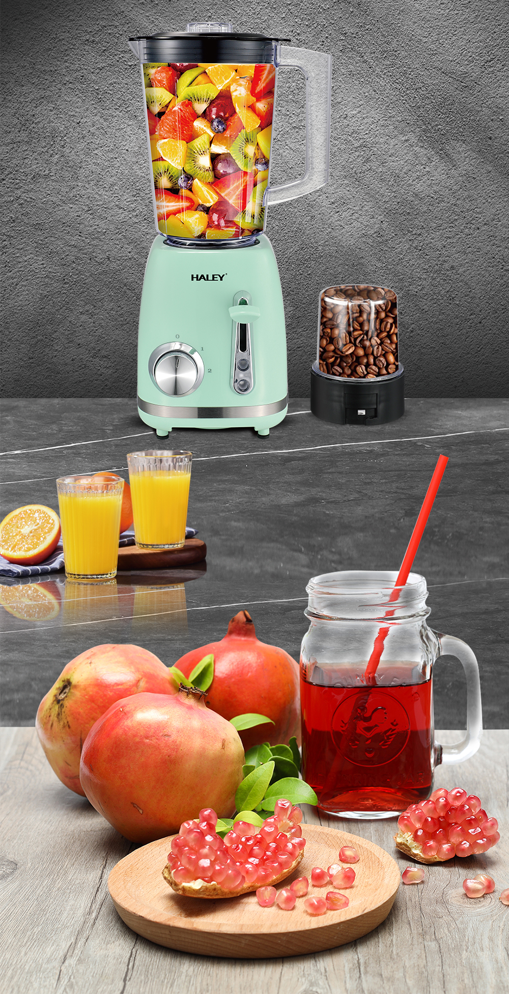 HALEY 500W Juicer Blender with 1.5L Capacity & Ice Crushing Function