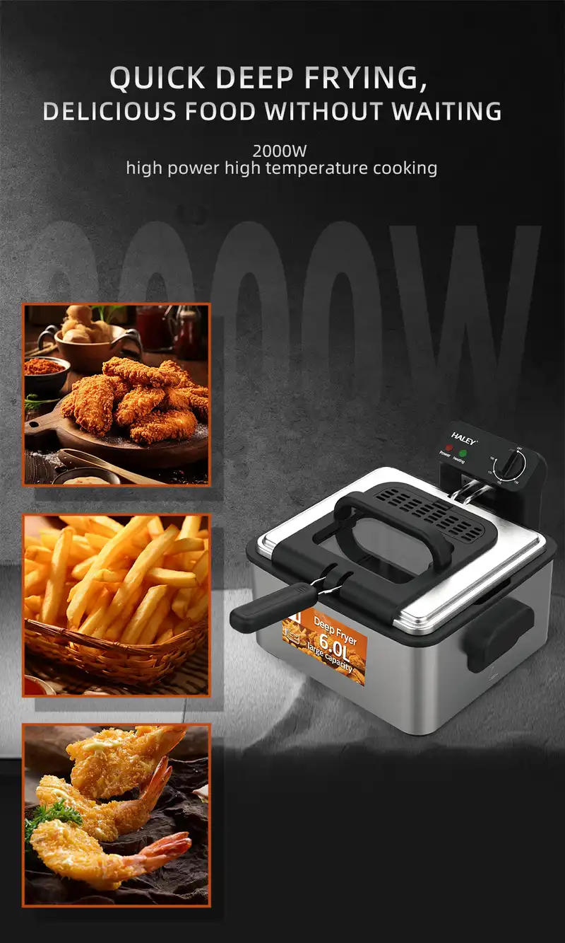 HALEY 6L Professional Deep Fryer