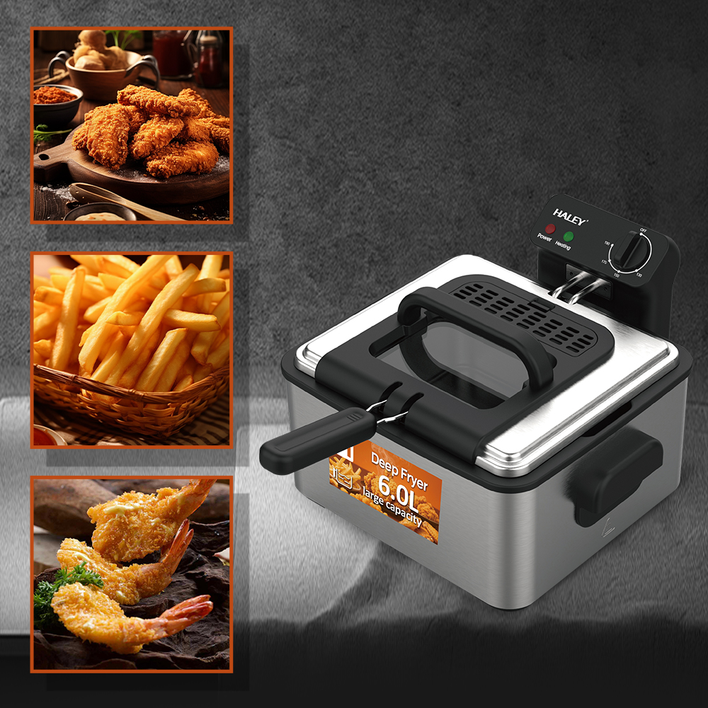 HALEY 6L Professional Deep Fryer