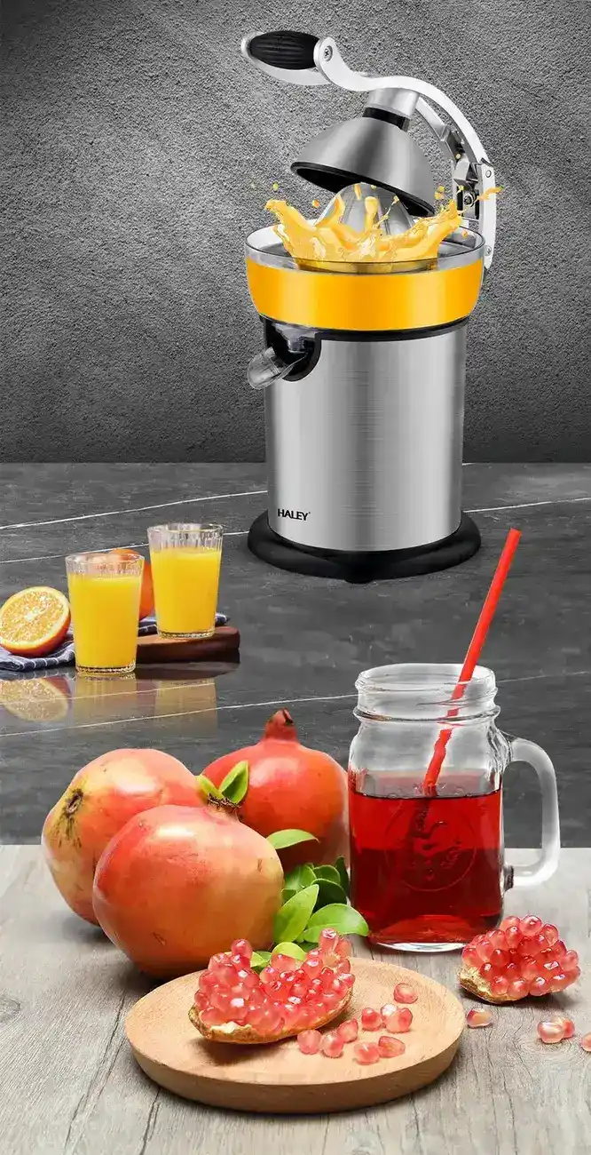 HALEY 800W Citrus Juicer
