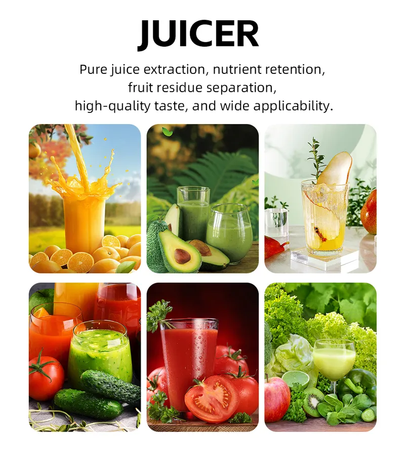 HALEY 800W Citrus Juicer