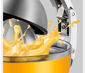 HALEY 800W Citrus Juicer