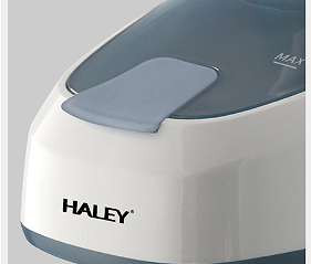 Haley Handheld Garment Steamer
