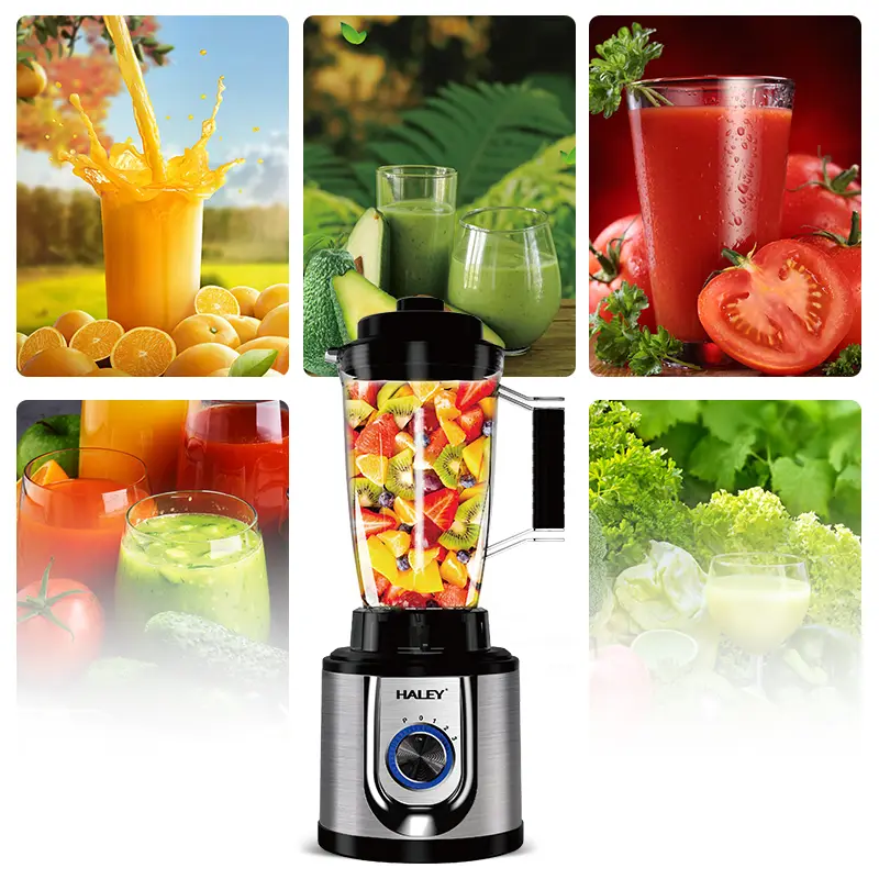 Haley High Power Juicer
