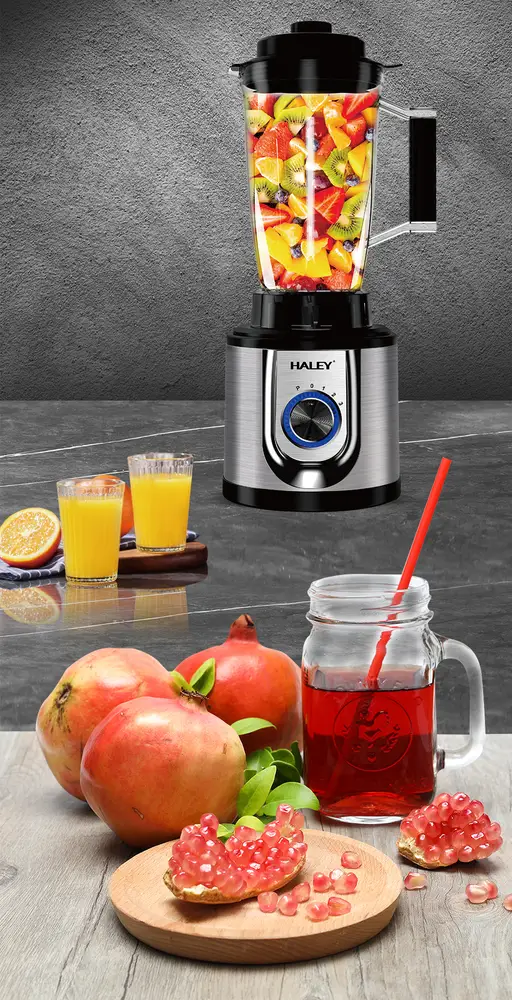 Haley High Power Juicer