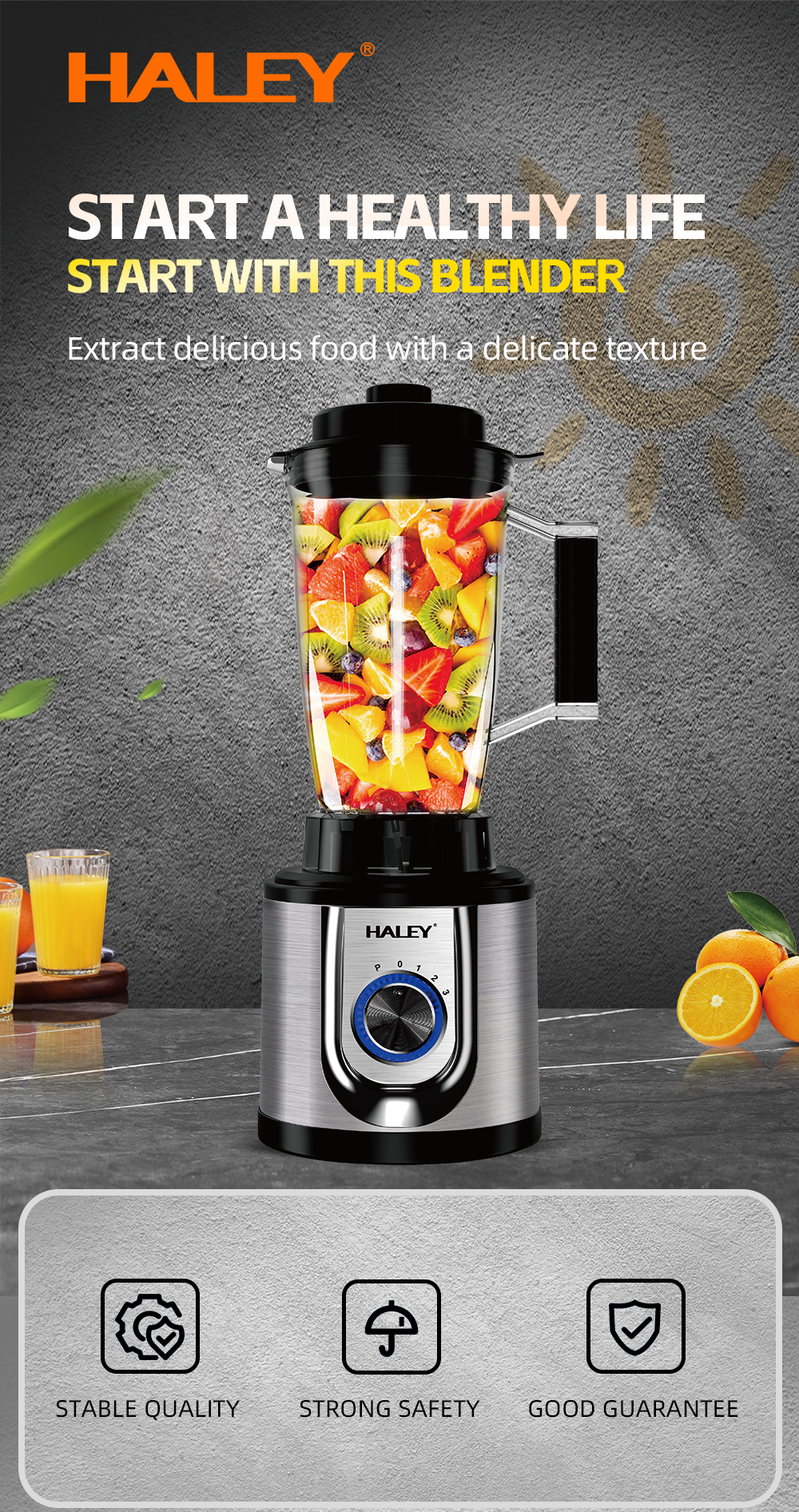 Haley High-Power Juicer