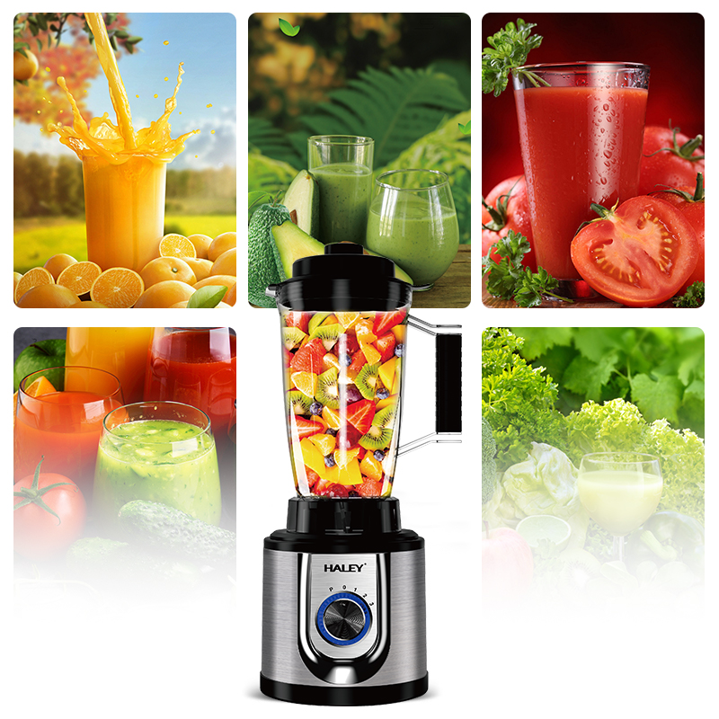 Haley High-Power Juicer
