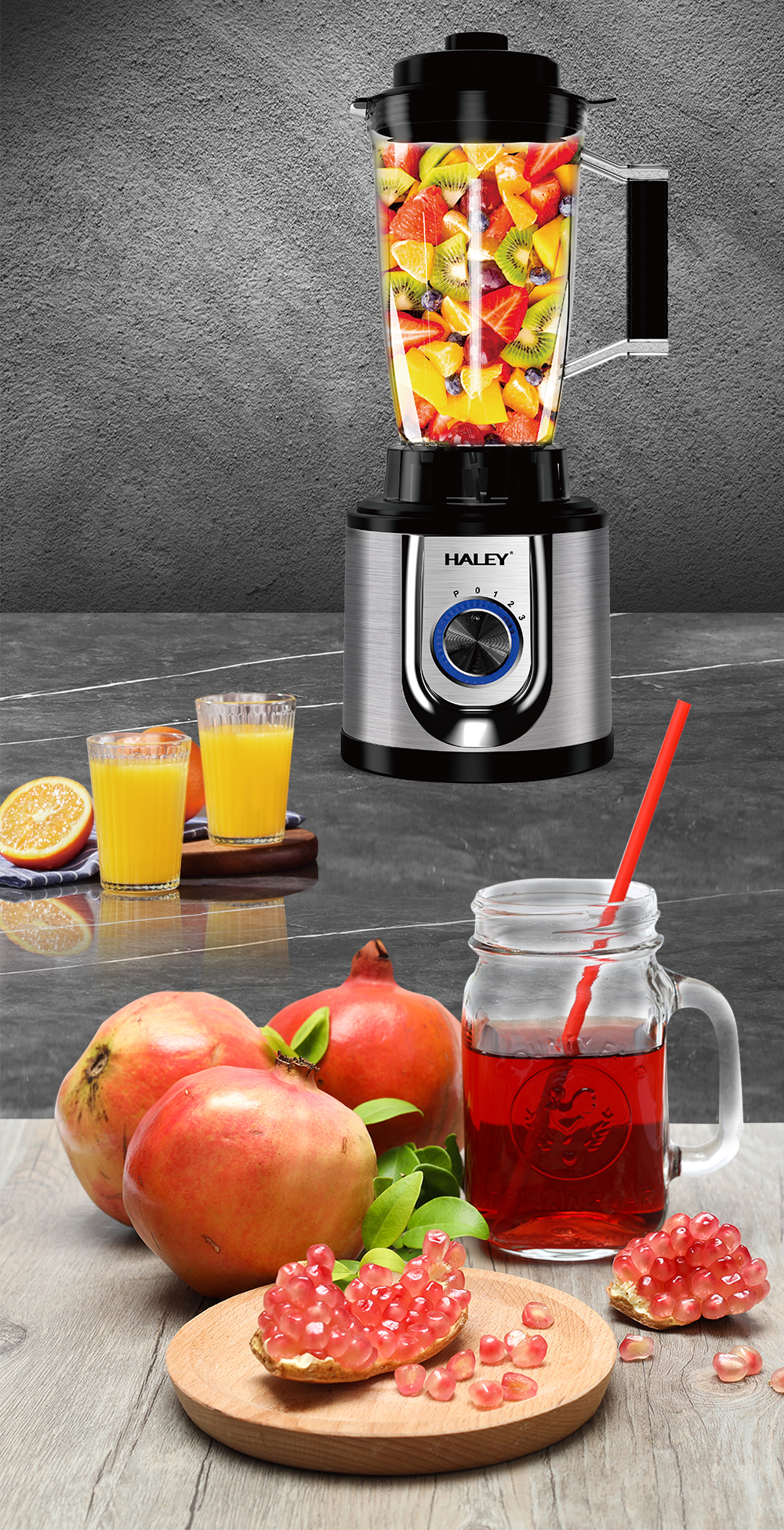 Haley High-Power Juicer