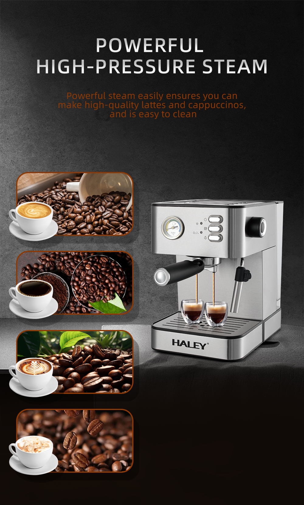 HALEY 20Bar Espresso Coffee Machine