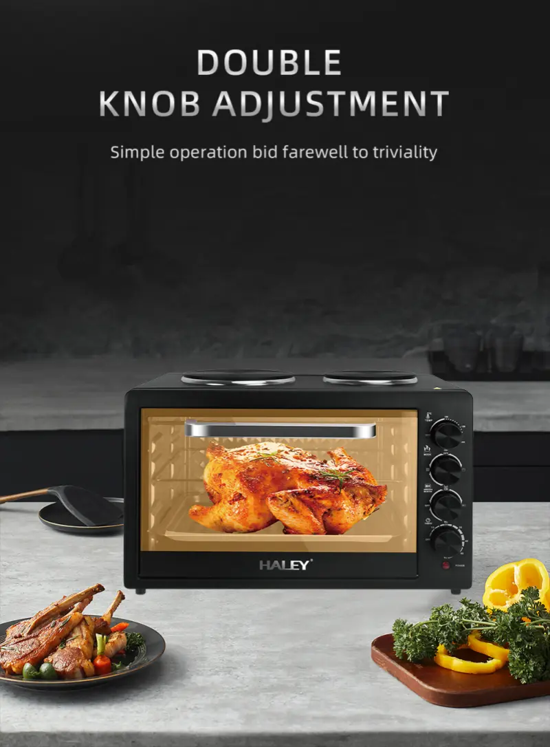 Electric Oven