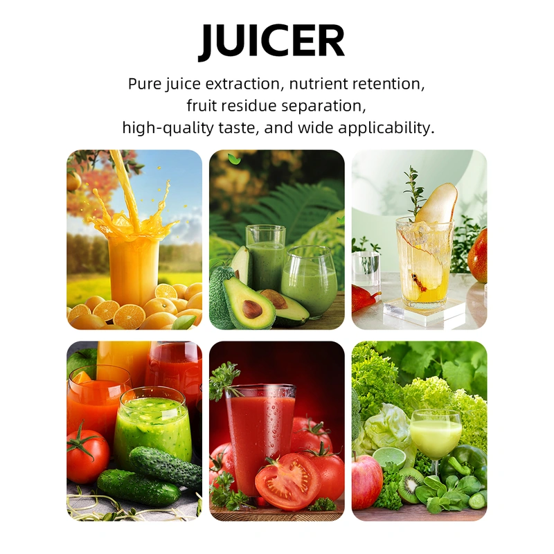 HALEY 160W Citrus Juicer