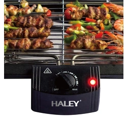 HALEY 2000W Electric Grill