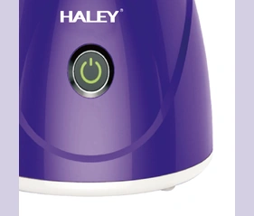 HALEY 200W Facial Steamer & Facial Sauna with Constant-Temperature Heating