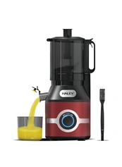 HALEY 300W Electric Juicer