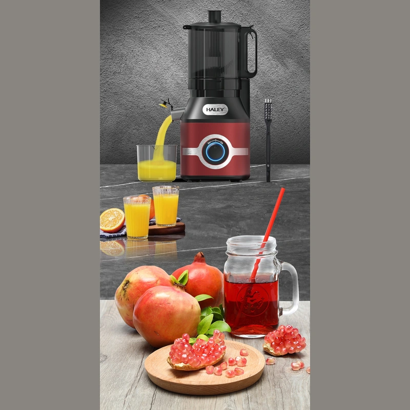 HALEY 300W Electric Juicer