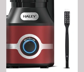HALEY 300W Electric Juicer