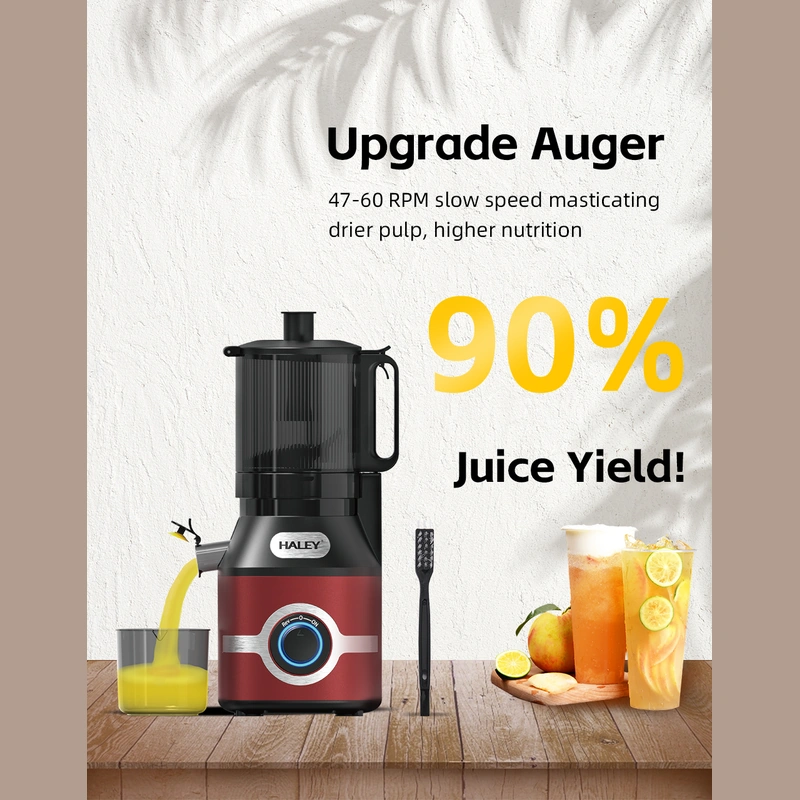 HALEY 300W Electric Juicer