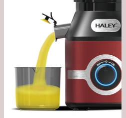HALEY 300W Electric Juicer