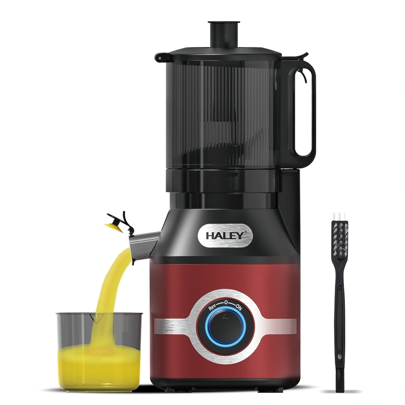 HALEY 300W Electric Juicer