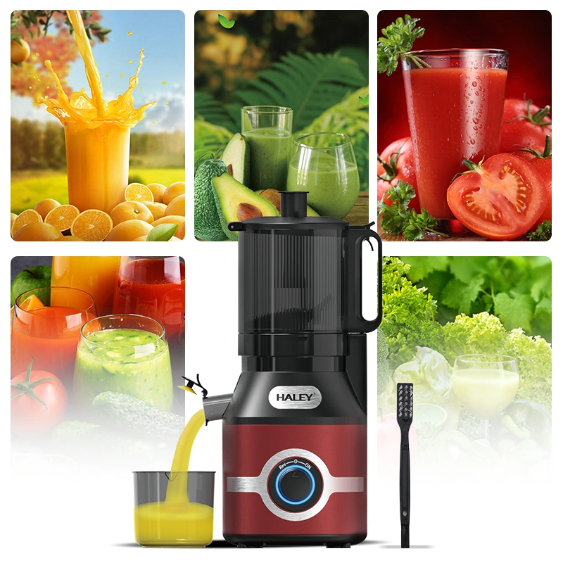 HALEY 300W Electric Juicer