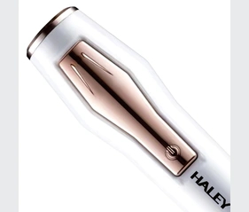 HALEY 30W Electric Milk Frother