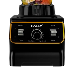 HALEY 5500W 3L Juicer Blender