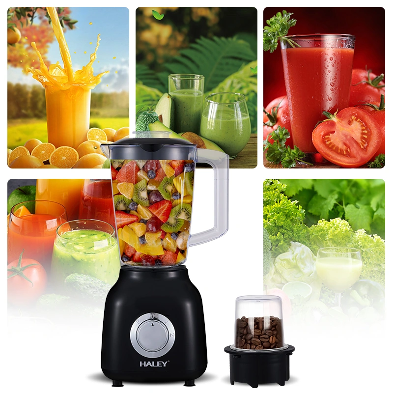 HALEY 600W 1.6L Blender