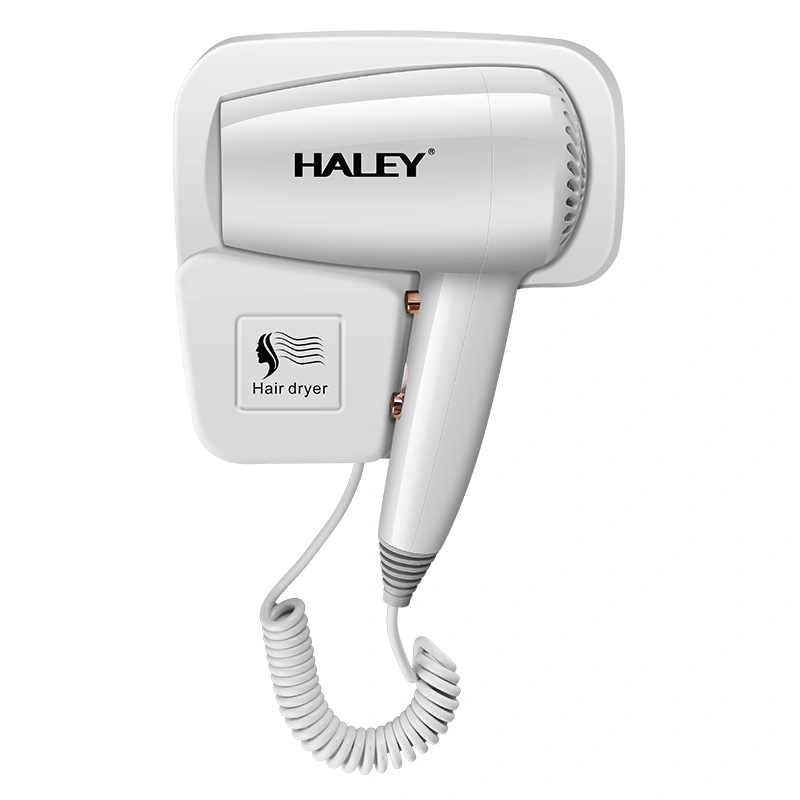 HALEY Hair Dryer with Intelligent Temperature Control