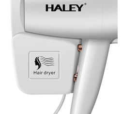 HALEY Hair Dryer with Intelligent Temperature Control