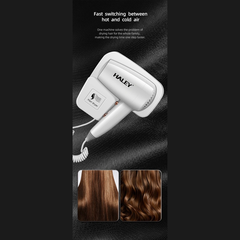 HALEY Hair Dryer with Intelligent Temperature Control