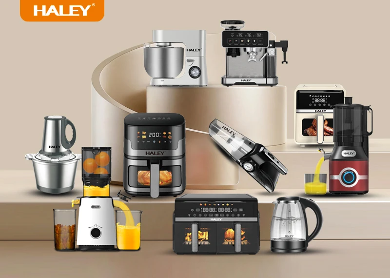 Building Your Own Home Appliance Brand with HALEY (2) Building Your Own Home Appliance Brand with HALEY