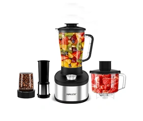 HALEY 1000W 3-in-1 Blender